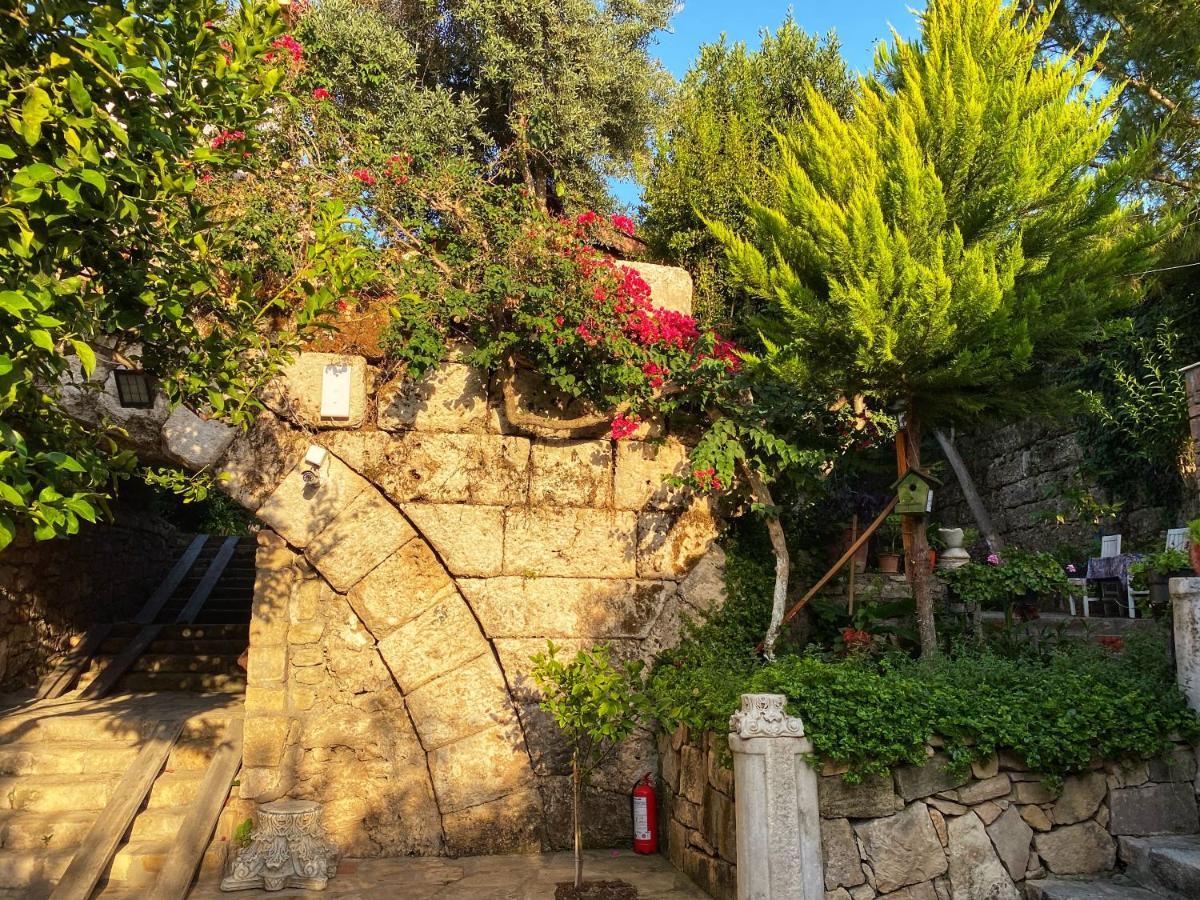Leda Beach Hotel Σιντέ Εξωτερικό φωτογραφία