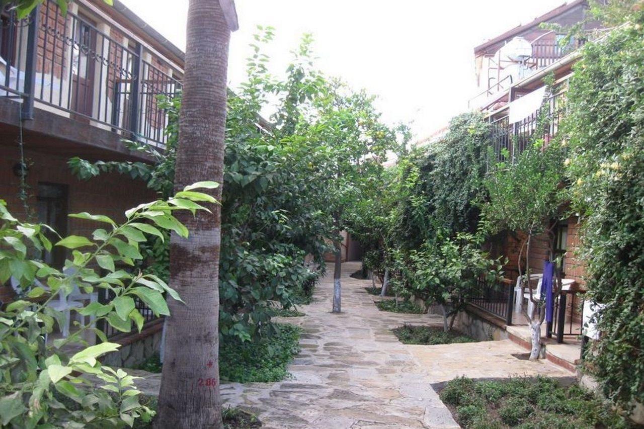 Leda Beach Hotel Σιντέ Εξωτερικό φωτογραφία